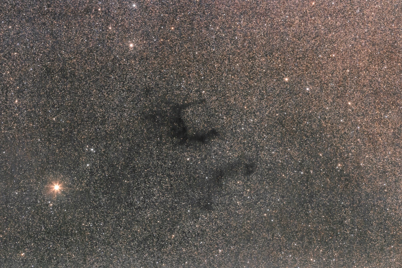B142_220719