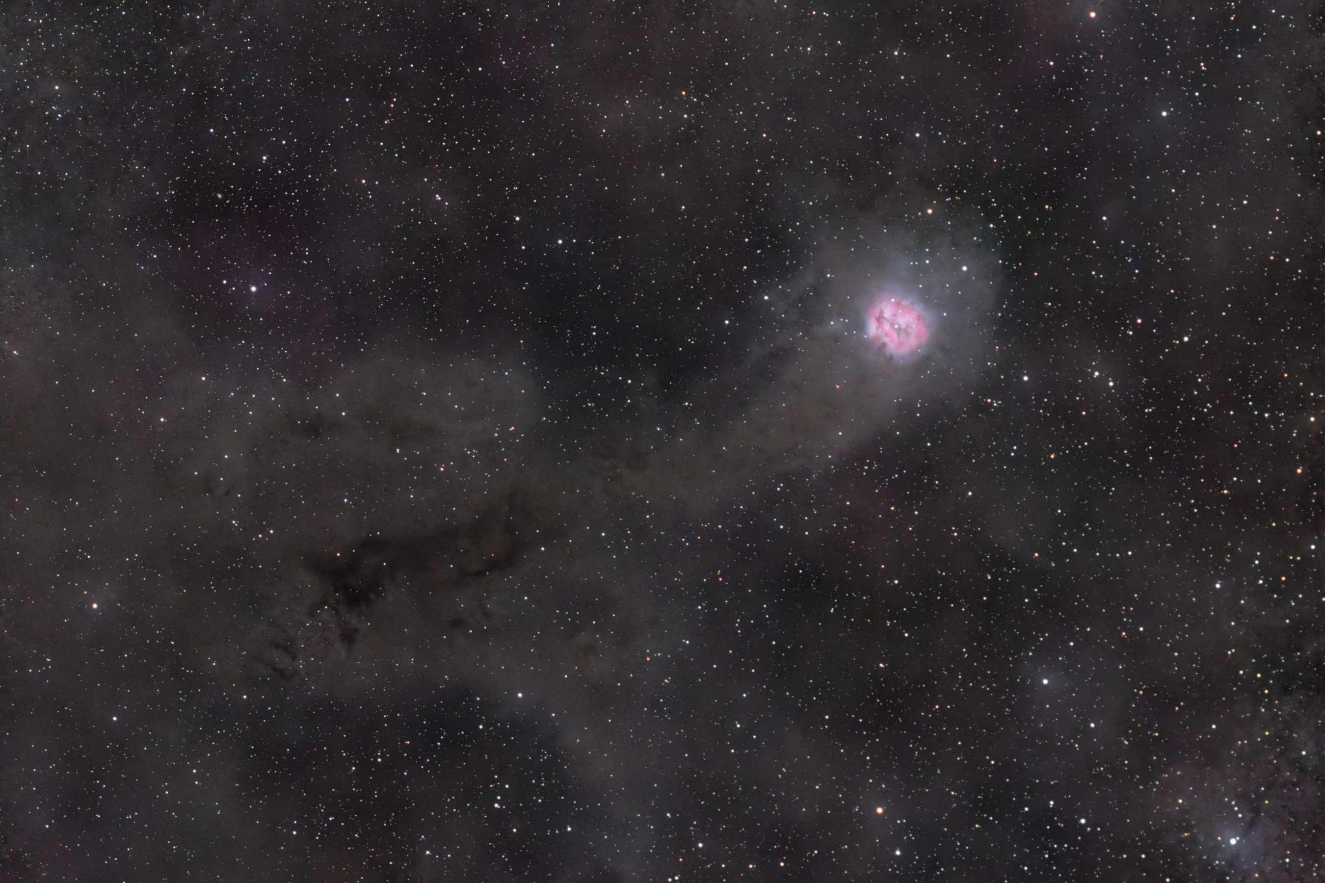 C19_240729