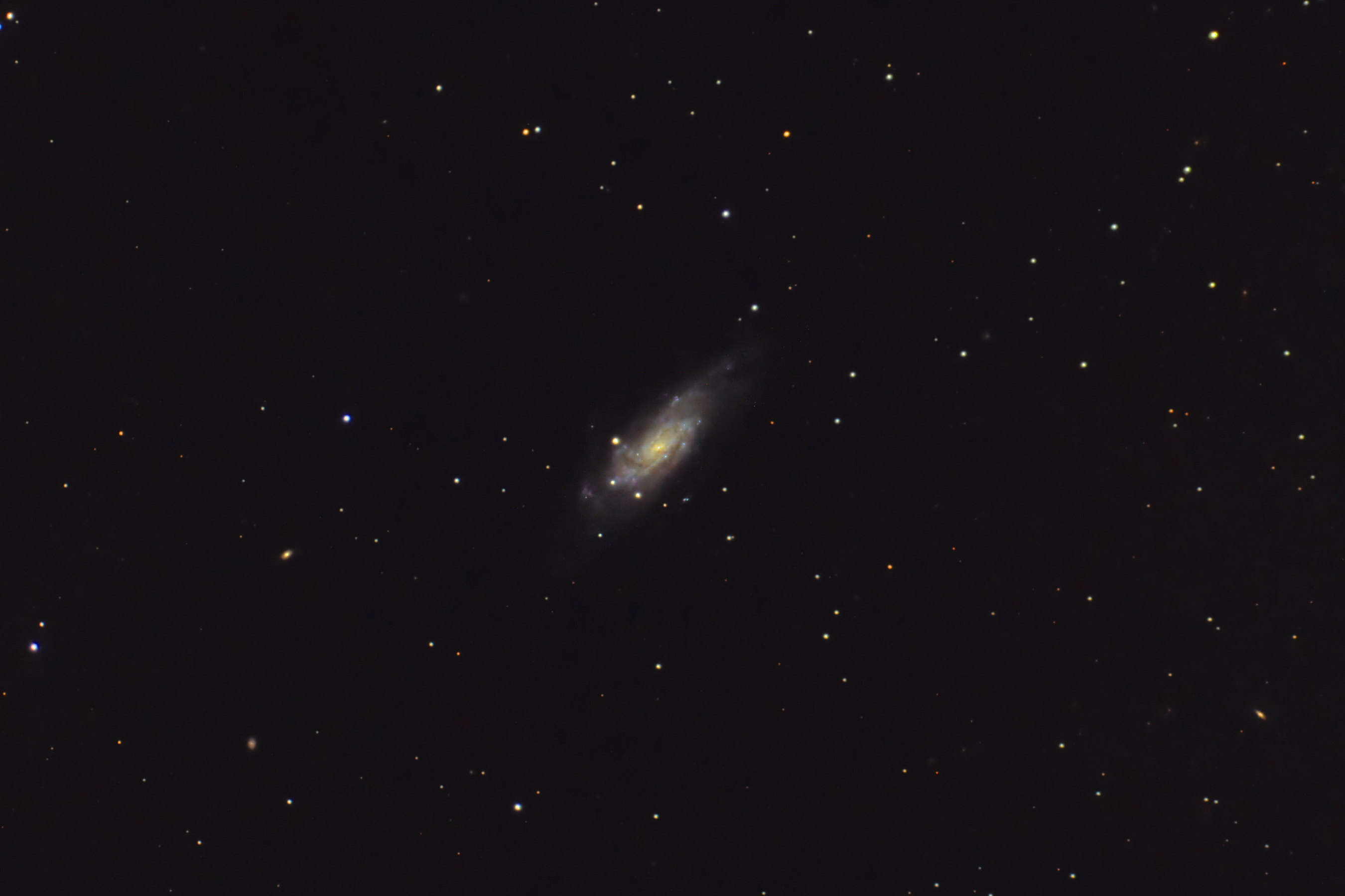 C36_250403