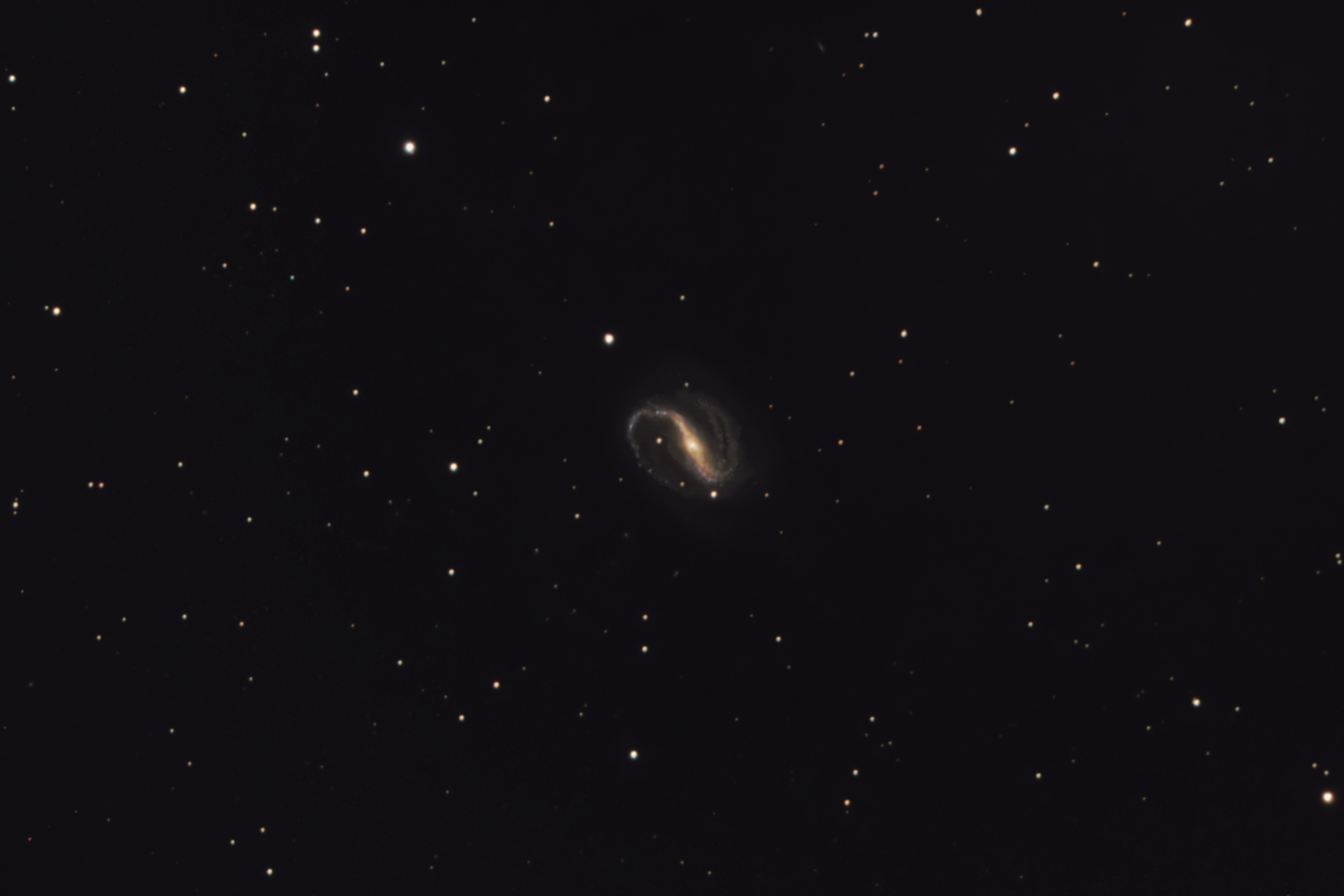 C44_240912