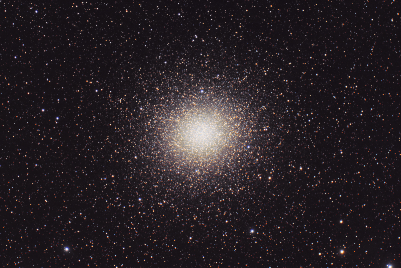 C80_240503