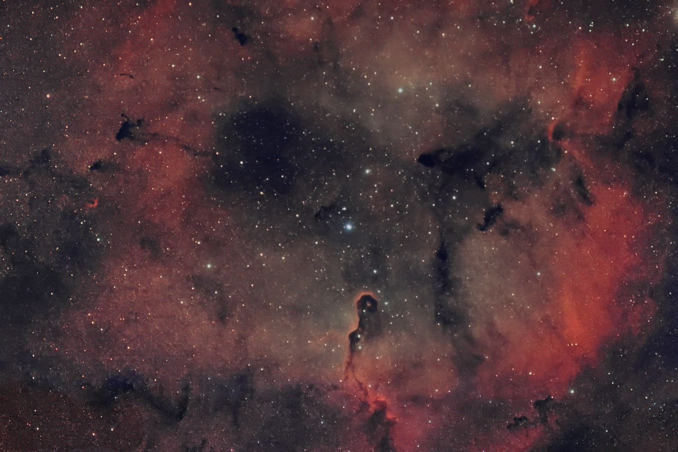 IC1396_221003