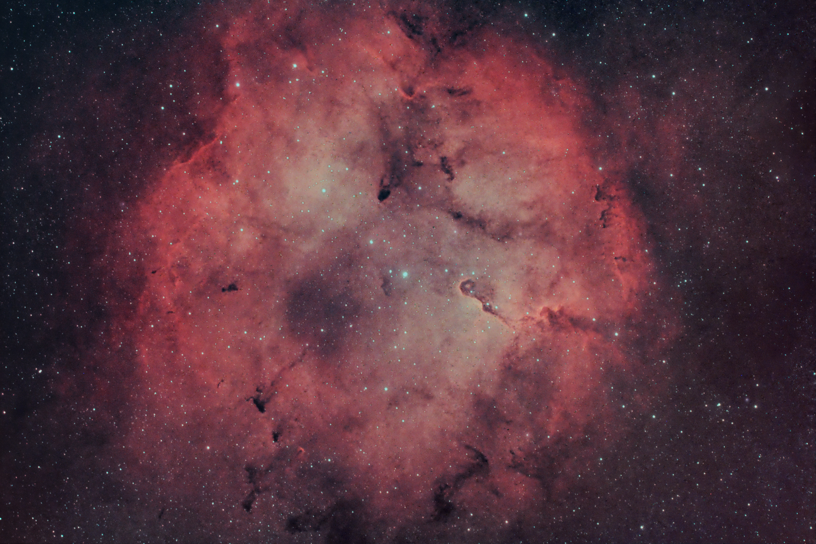 IC1396_241228