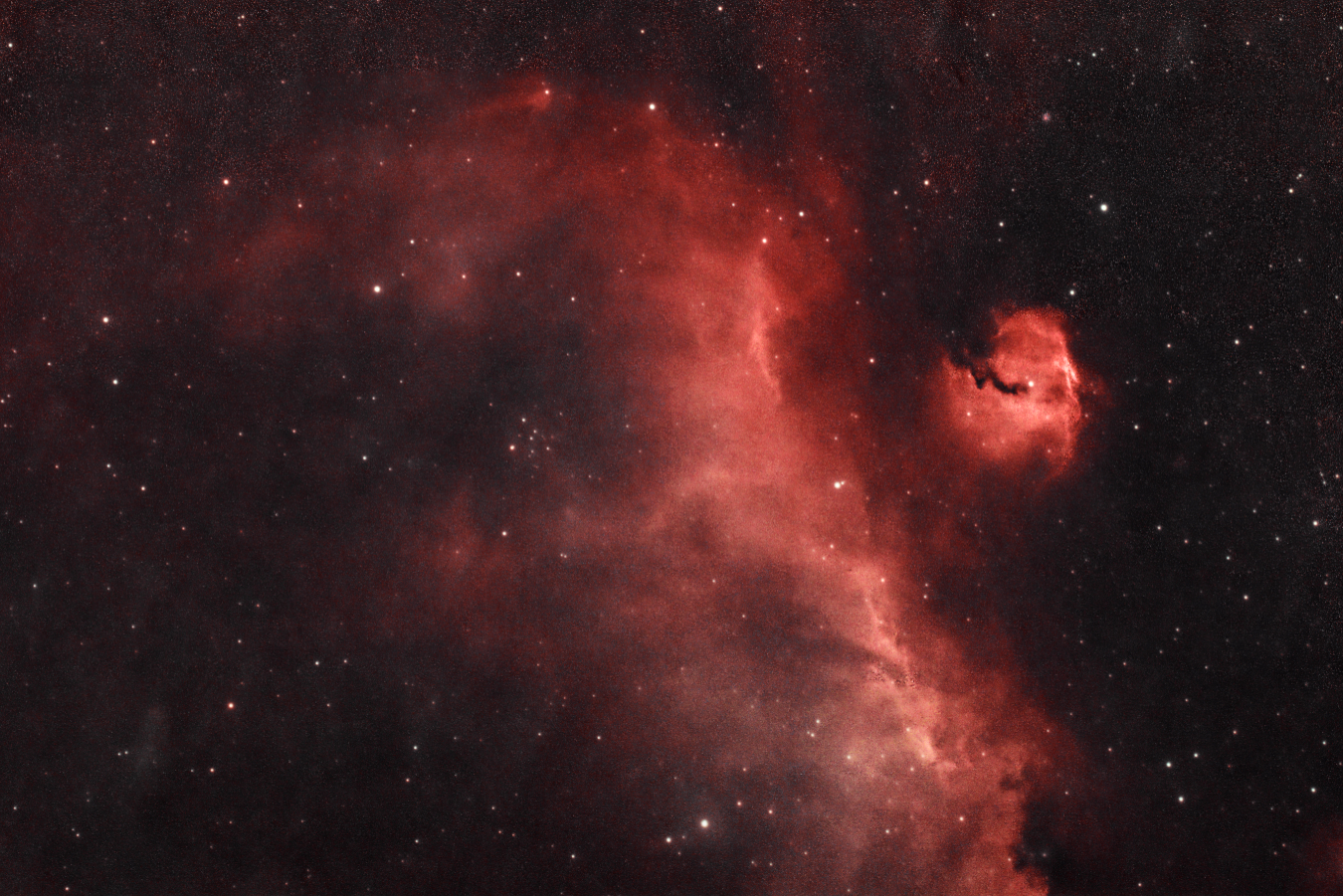 IC2177_240225
