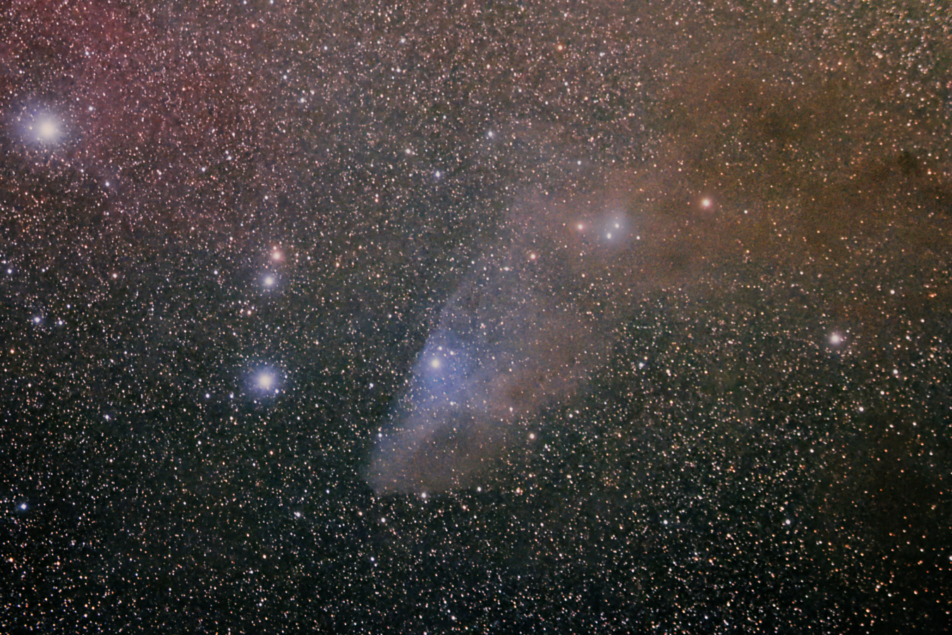 Blue Horsehead