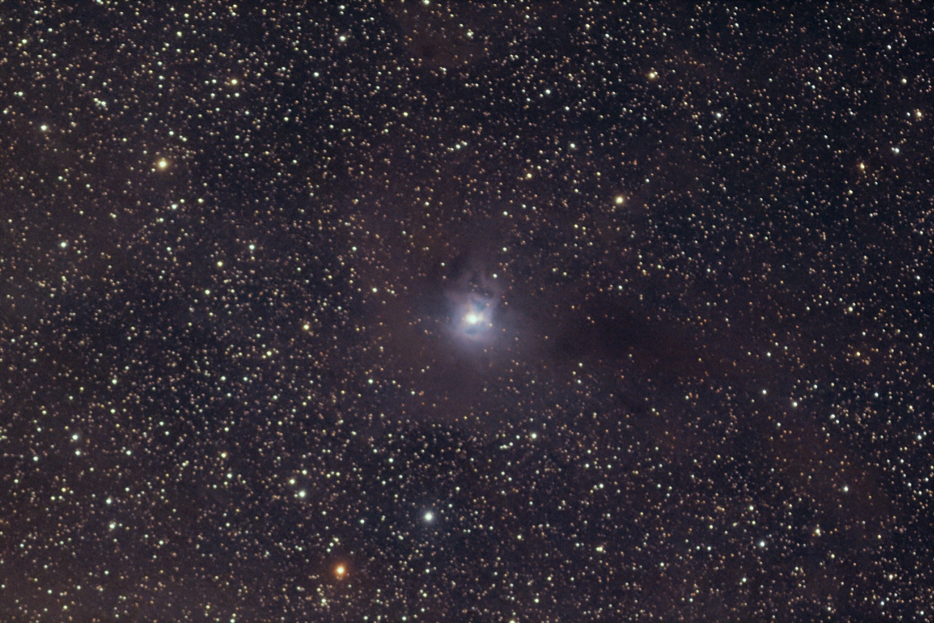 Irisnebel210731