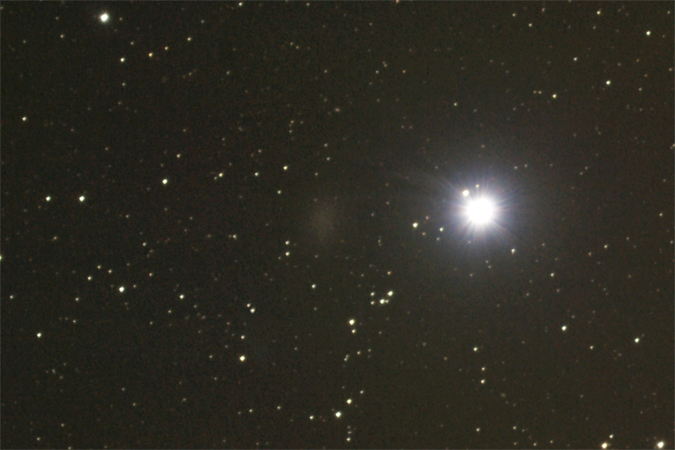 Leo I