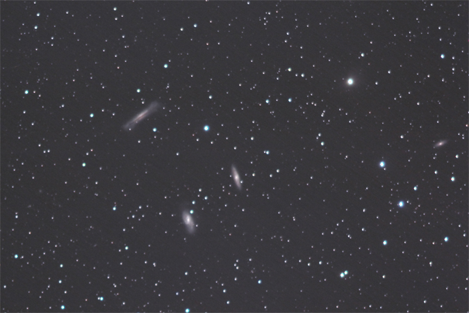 Leo Triplett