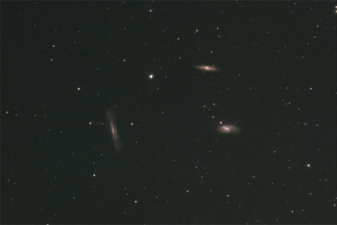 Leo Triplett