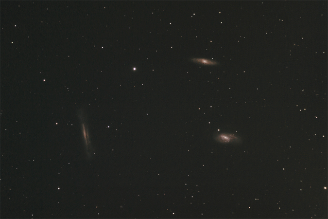Leo Triplett