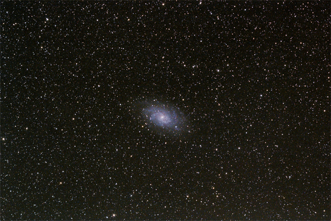 M33
