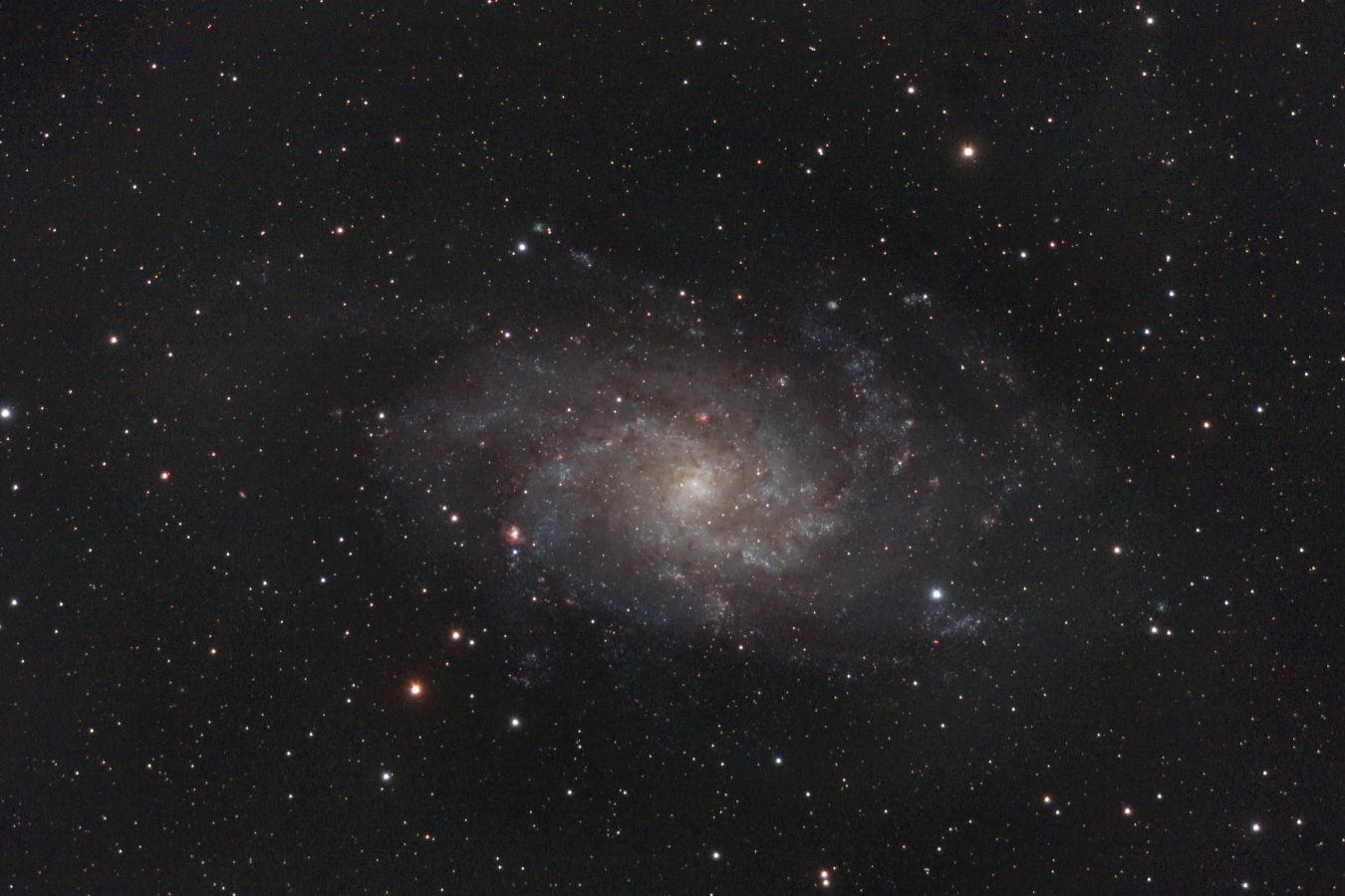 M33_220901