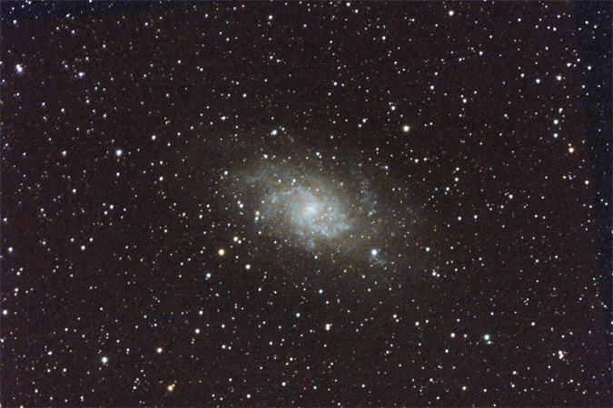 M33