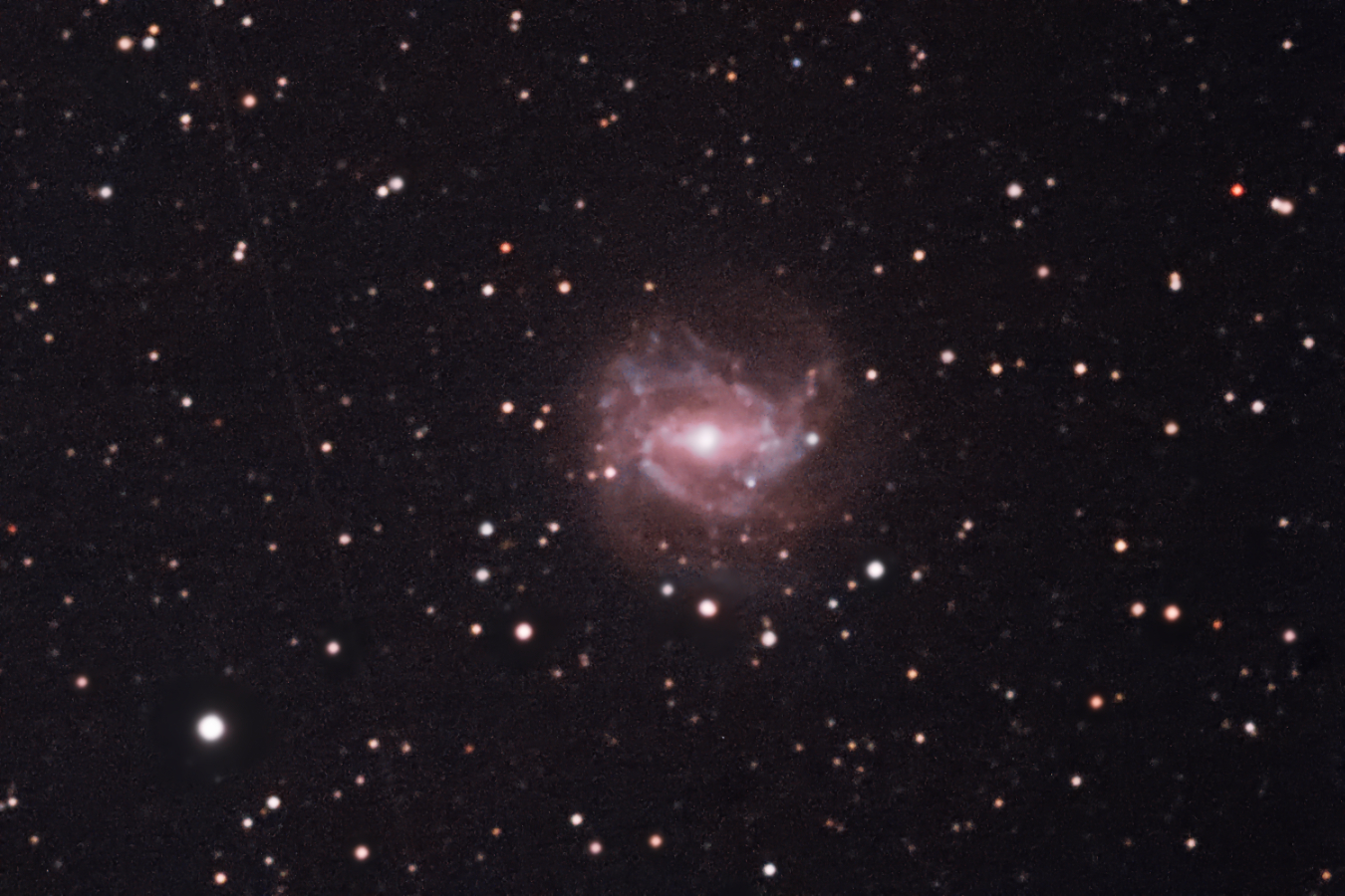 M83