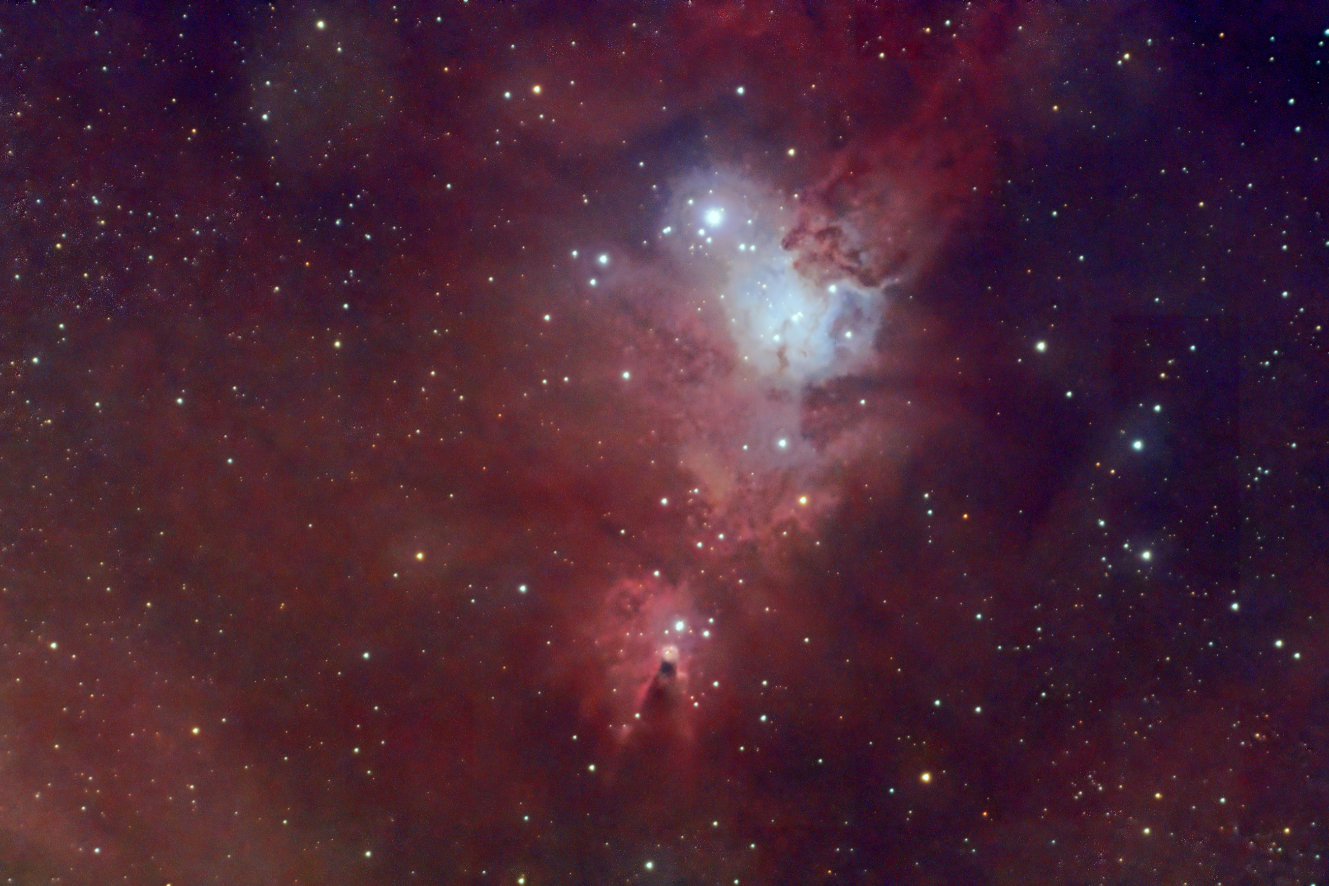 NGC2264_250119