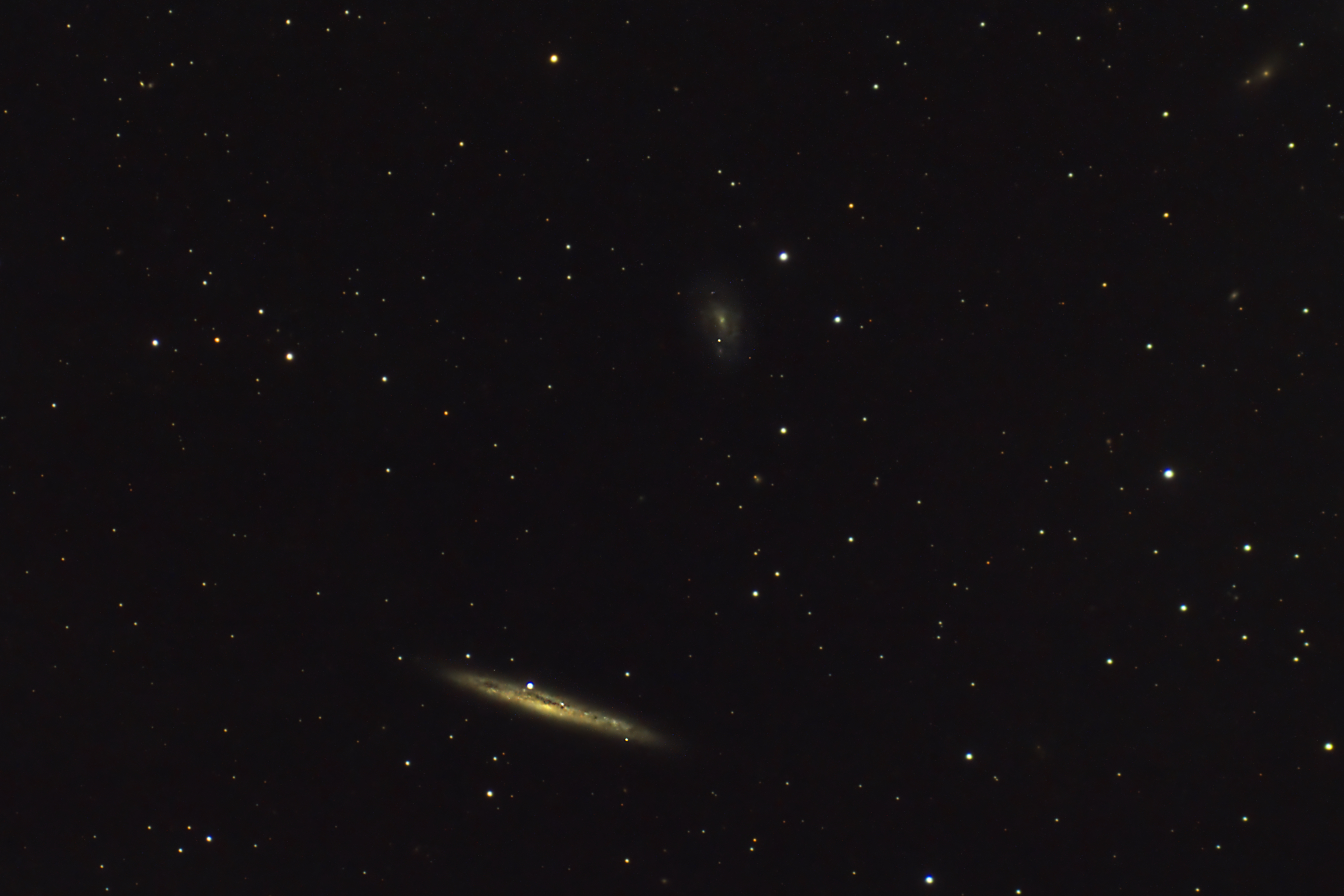 NGC4517_250404