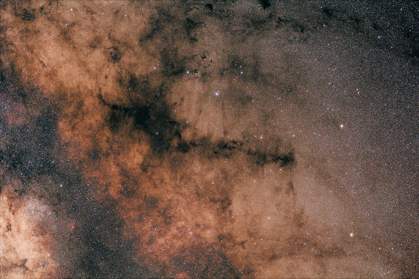 Pfeifennebel_210809