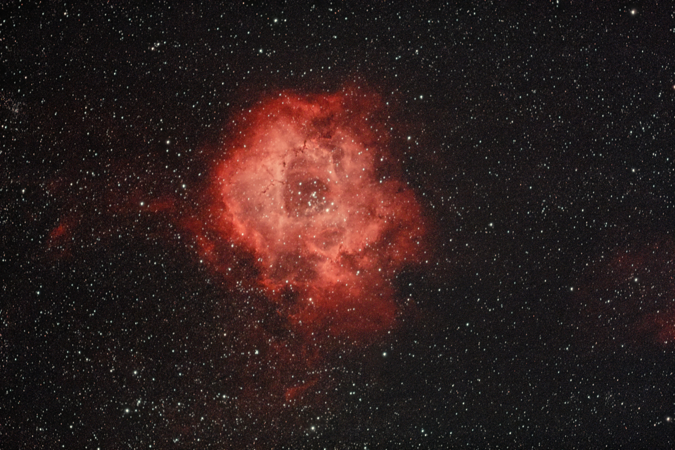 NGC2244 Rosettennebel