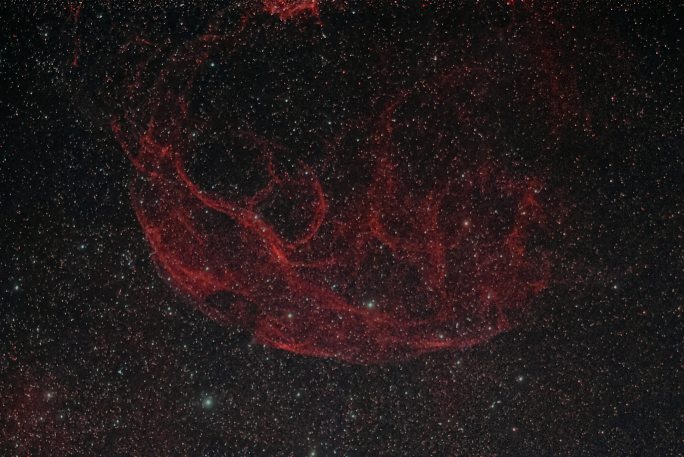 Simeis147_210306