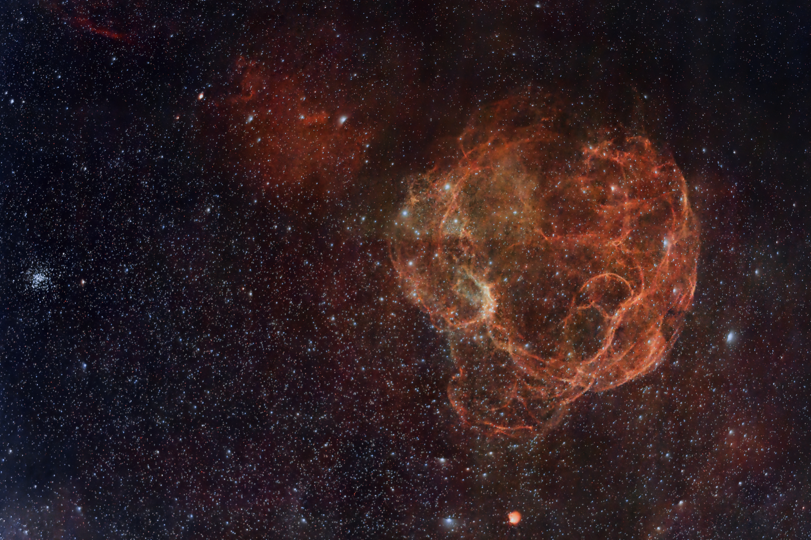 Simeis147_250126