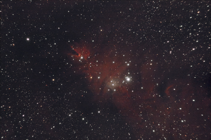 NGC2264