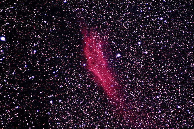 Californianebel