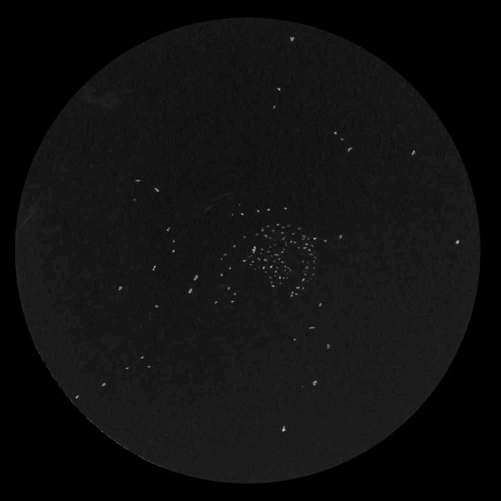 M11