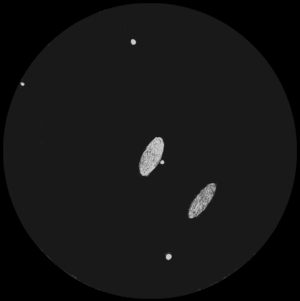 M65M66