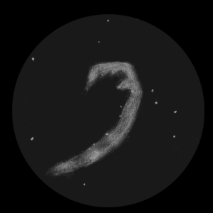 NGC6992_95hrdi.jpg