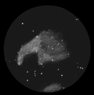 ngc7000hrdi.jpg