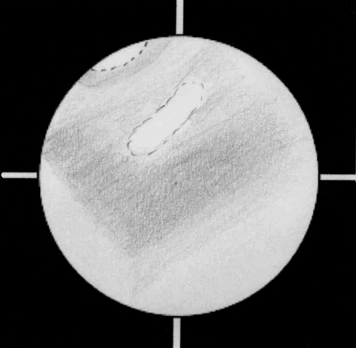 Mars051013